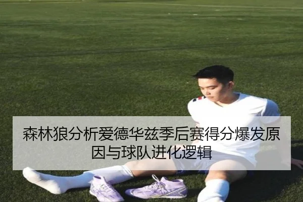森林狼分析爱德华兹季后赛得分爆发原因与球队进化逻辑